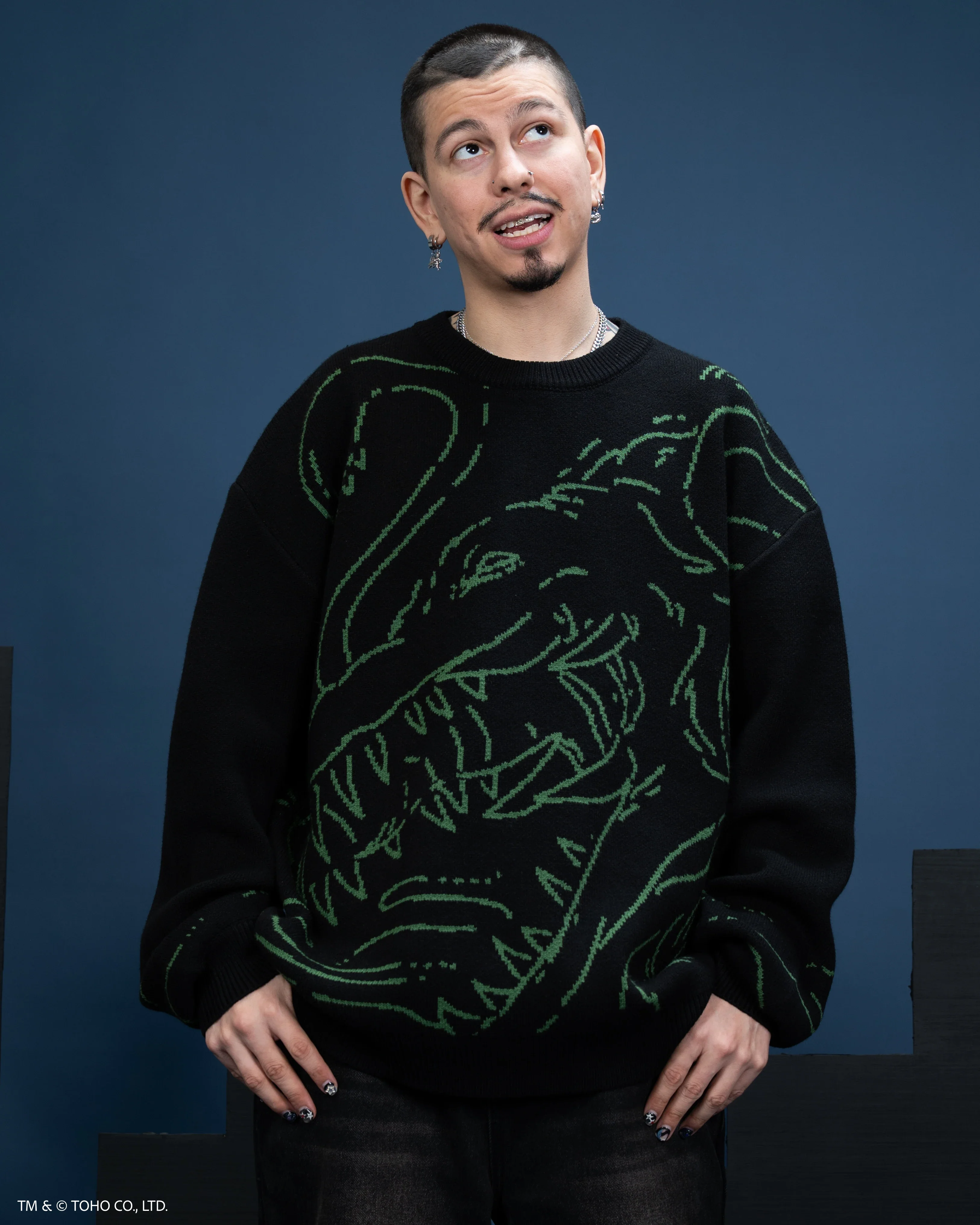 Biollante Sweater [PRE-APPROVAL] - Image 9